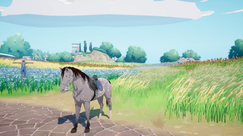 Horse Tales: Emerald Valley Ranch (Code in Box) [GRA SWITCH]