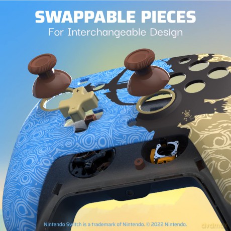 PDP Rematch Wired Controller Ancient Arrows Licensed Switch