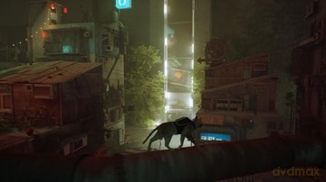 Stray [GRA SWITCH]