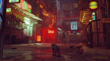 Stray [GRA SWITCH]