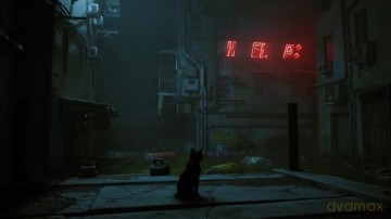 Stray [GRA SWITCH]