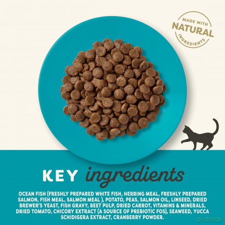Applaws - Ocean Fish with Salmon Kibble - 1.8kg