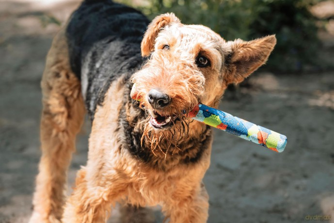 Chuckit - Eco Fetch Stick Recycled 28cm