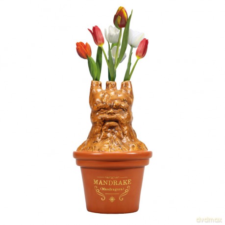 Harry Potter - Mandrake Shaped Vase (5261TTVHP07)