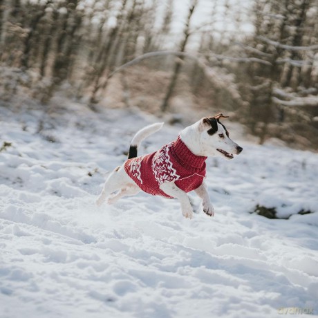 Hunter - Dogcoat Birka 45, grey - (203480)