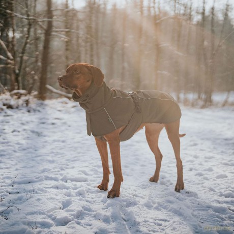 Hunter - Dogcoat Nordby 30, olive - (203433)