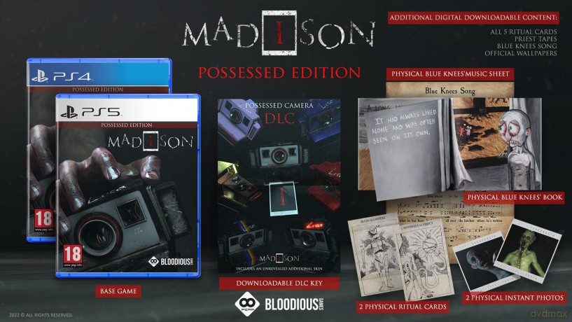 MADiSON - Possessed Edition [GRA PS4]