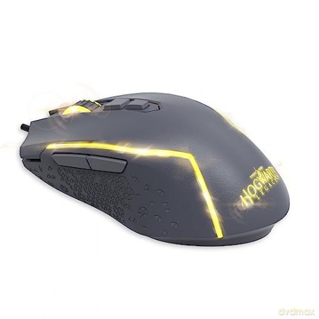 Pack Keyboard + Mouse Harry Potter AZERTY (PS4 compatible)