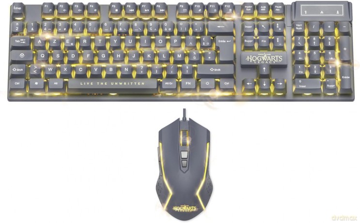 Pack Keyboard + Mouse Harry Potter AZERTY (PS4 compatible)