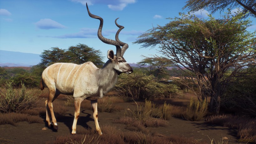 Way of the Hunter - Wild Expeditions [GRA PS5]