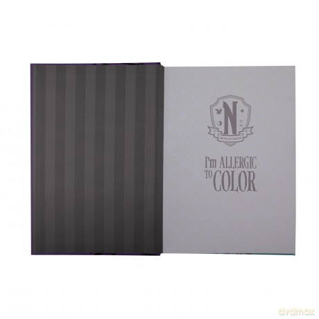 Wednesday - Hard Cover Notebook - Wednesday and Enid