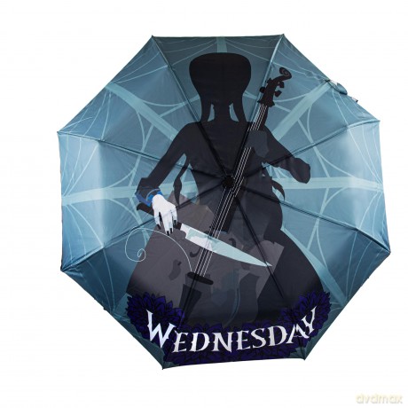 Wednesday - Parasol - Wednesday with cello