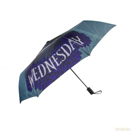 Wednesday - Parasol - Wednesday with cello