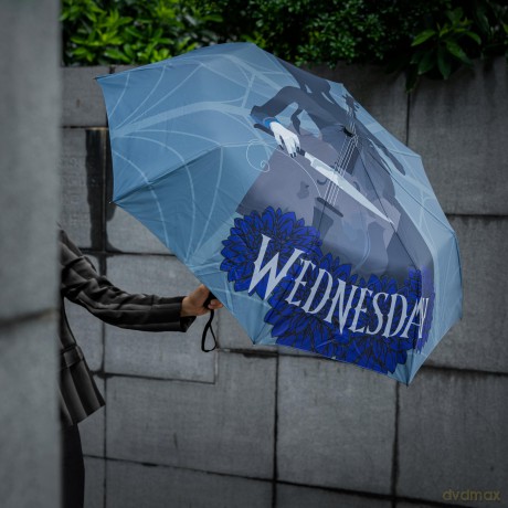 Wednesday - Parasol - Wednesday with cello
