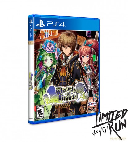 Wizards Of Brandel (Limited Run #401) [GRA PS4]