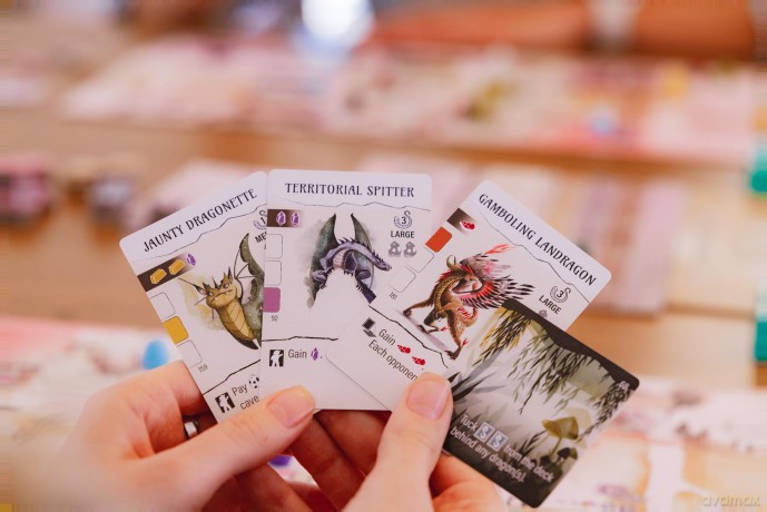 Wyrmspan (STM850) [GRA PLANSZOWA]