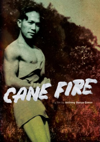 Cane Fire [DVD]