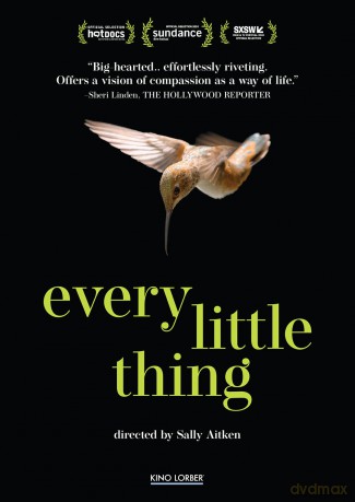 Every Little Thing [DVD]