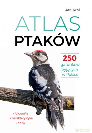 Atlas ptaków. 250 gatunków żyjących w Polsce - Jan Król [KSIĄŻKA]