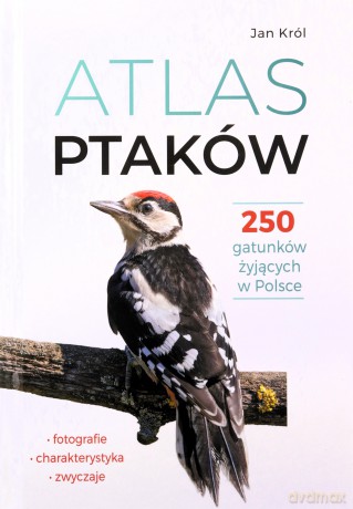 Atlas ptaków. 250 gatunków żyjących w Polsce - Jan Król [KSIĄŻKA]
