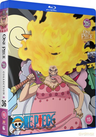 One Piece - Collection 36 [4DVD]