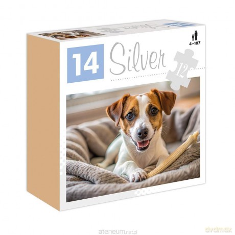 12 Pies Silver [PUZZLE]
