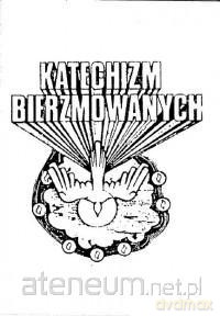 Katechizm bierzmowanych wyd. 2010 WDS [KSIĄŻKA]