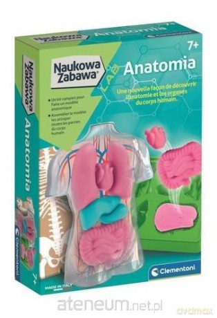 Naukowa Zabawa. Anatomia