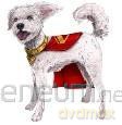 Superman Film: Interaktywny Krypto