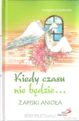 Kiedy czasu nie będzie... Zapiski anioła [KSIĄŻKA]