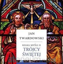 Kilka myśli o Trójcy Świętej [KSIĄŻKA]