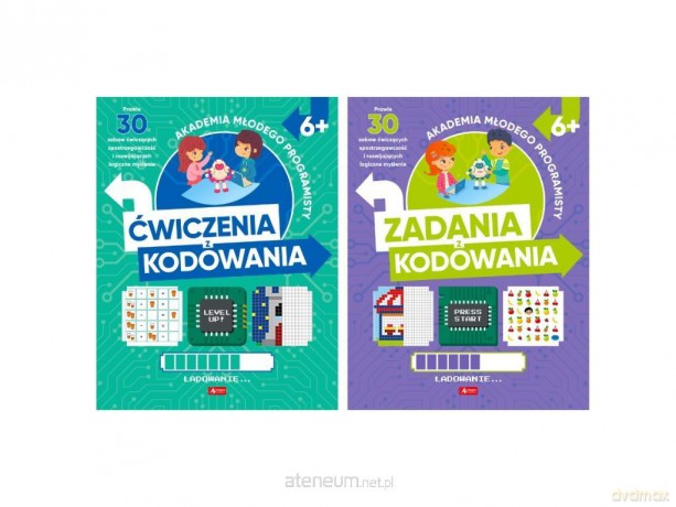 Akademia programisty - Alicja Żarowska-Mazur, Dawid Mazur [KSIĄŻKA]