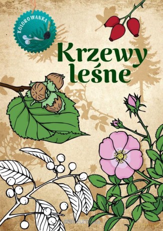 Krzewy leśne kolorowanka - Katarzyna Kopiec Sekieta [KSIĄŻKA]