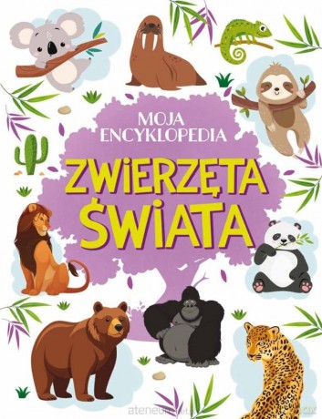 Moja encyklopedia. Zwierzęta Świata - Agnieszka Nożyńska-Demianiuk [KSIĄŻKA]