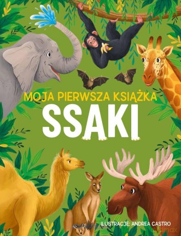Moja pierwsza książka. Ssaki - Eliza Jeffery [KSIĄŻKA]