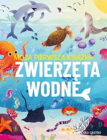 Moja pierwsza książka. Zwierzęta wodne - Eliza Jeffery [KSIĄŻKA]