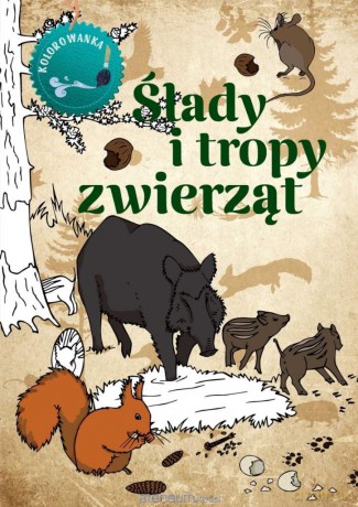 Ślady i tropy zwierząt kolorowanka - Katarzyna Kopiec Sekieta [KSIĄŻKA]