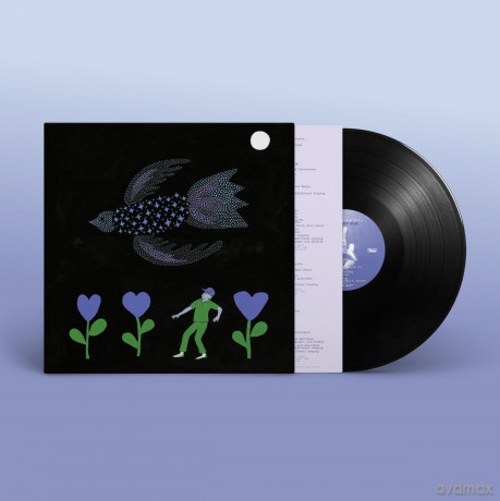 Bonnie "Prince" Billy: The Purple Bird [Winyl]