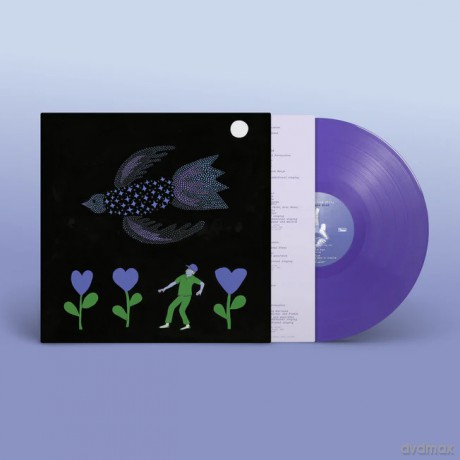 Bonnie "Prince" Billy: The Purple Bird (Limited) [Winyl]