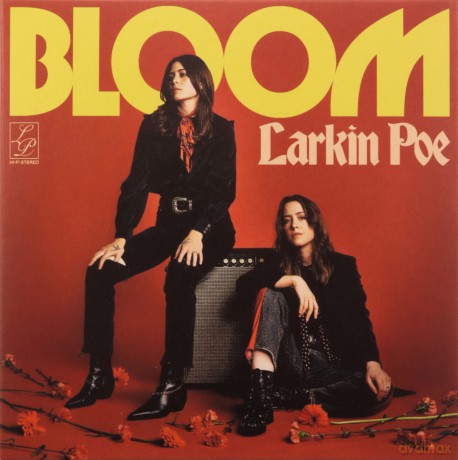 Larkin Poe: Bloom [CD]