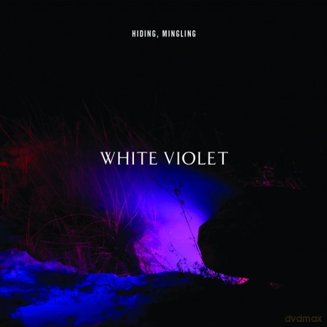 White Violet: Hiding. Mingling [CD]