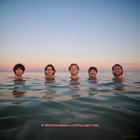 Delights: If Heaven Looks A Little Like This (Digi) [CD]