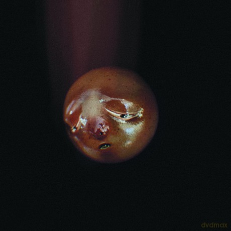 Poolblood: Mole [CD]