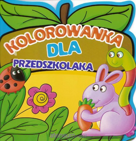 Kolorowanka dla przedszkolaka - Zając [KSIĄŻKA]