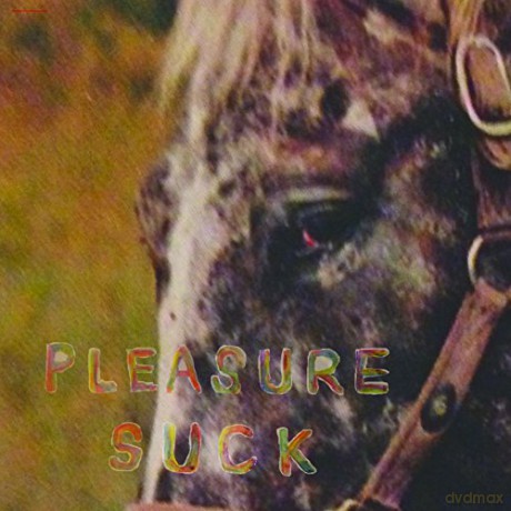 Spirit Of The Beehive: Pleasure Suck [CD]
