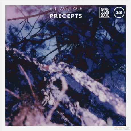 Eli Wallace: Precepts [CD]