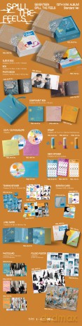 Seventeen: Seventeen 12Th Mini Album Ver. 2 [CD]