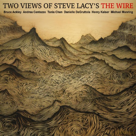 Ackley-Chen-Centazzo-Degruttola-Kaiser-Manring: Two Views Of Steve Lacys The Wire [CD]
