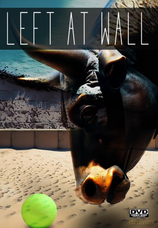 Left at Wall [DVD]