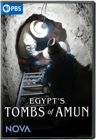 NOVA: Egypt's Tombs Of Amun [DVD]